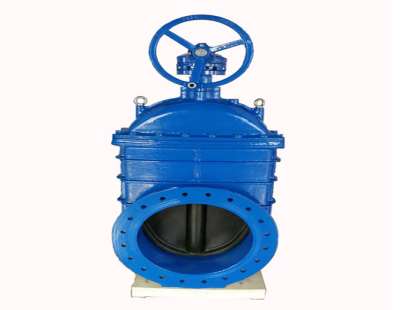 �l�y�S�o(h��)���(xi��ng)�f��